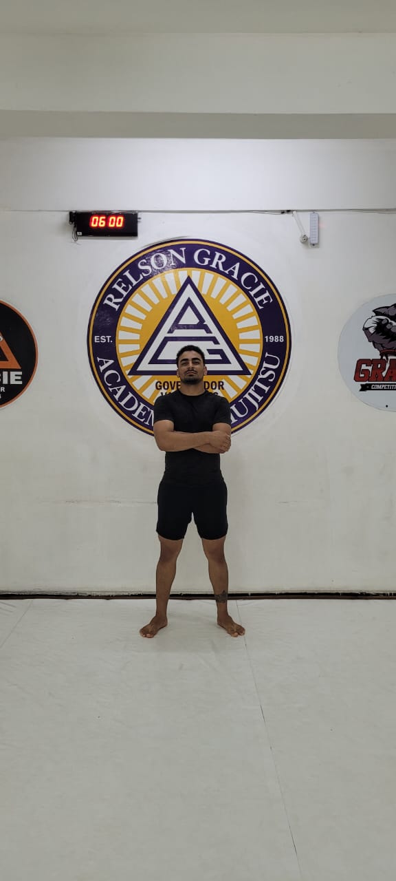 Luis André de Jesus Alves