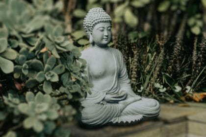 Estátua de Buda em posição meditativa clássica, representando visualmente "meditação o que é" através de sua postura serena em lótus com mãos em mudra. Cercada por suculentas e plantas em jardim zen, a escultura simboliza os fundamentos da meditação: concentração, paz interior e contemplação. Esta imagem ilustra perfeitamente o conceito de "meditação o que é", mostrando a essência milenar da prática budista de mindfulness e autoconhecimento.