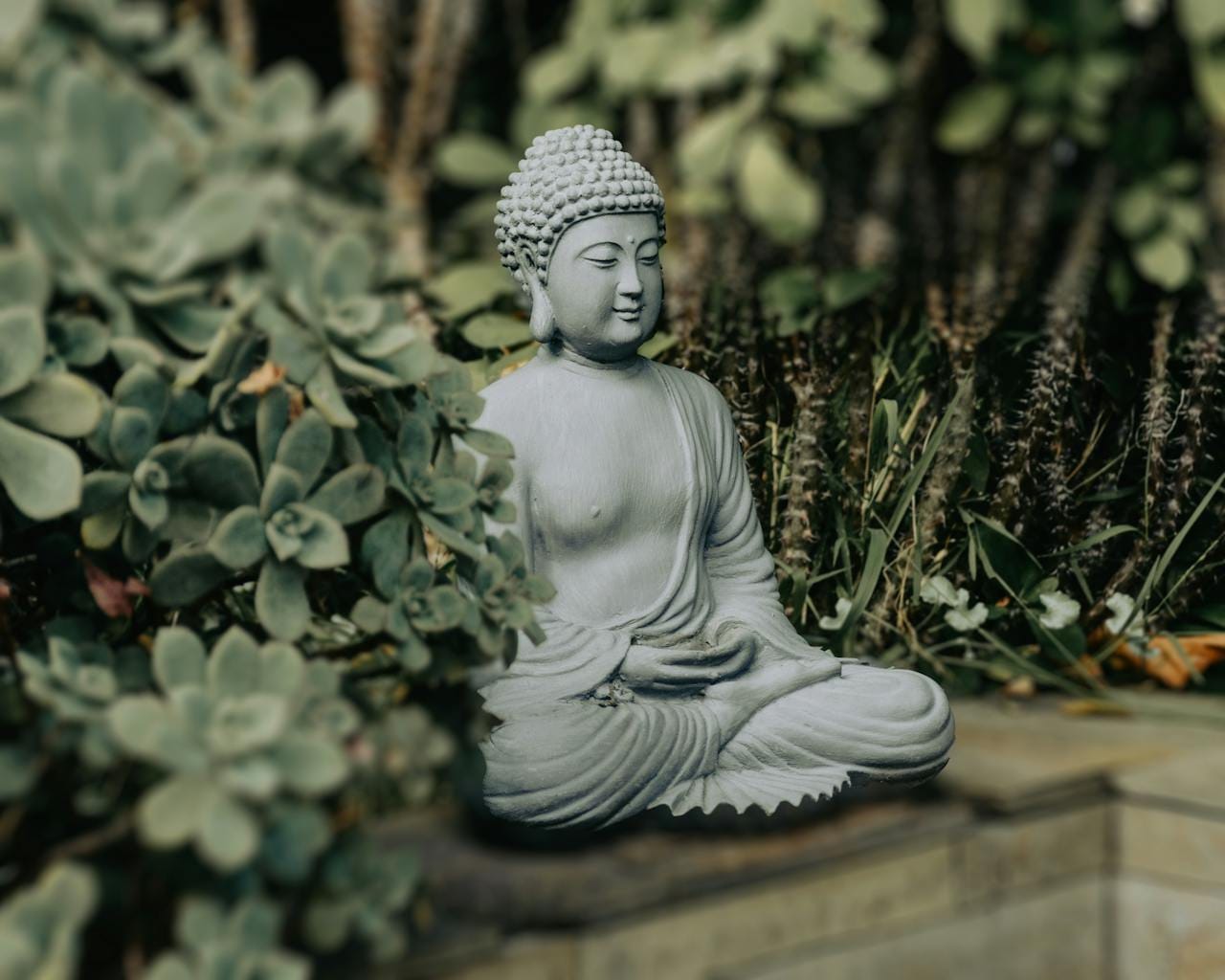 Estátua de Buda em posição meditativa clássica, representando visualmente "meditação o que é" através de sua postura serena em lótus com mãos em mudra. Cercada por suculentas e plantas em jardim zen, a escultura simboliza os fundamentos da meditação: concentração, paz interior e contemplação. Esta imagem ilustra perfeitamente o conceito de "meditação o que é", mostrando a essência milenar da prática budista de mindfulness e autoconhecimento.